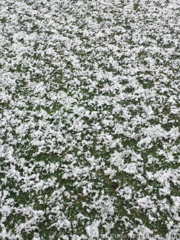 snow on grass April 2, 2016