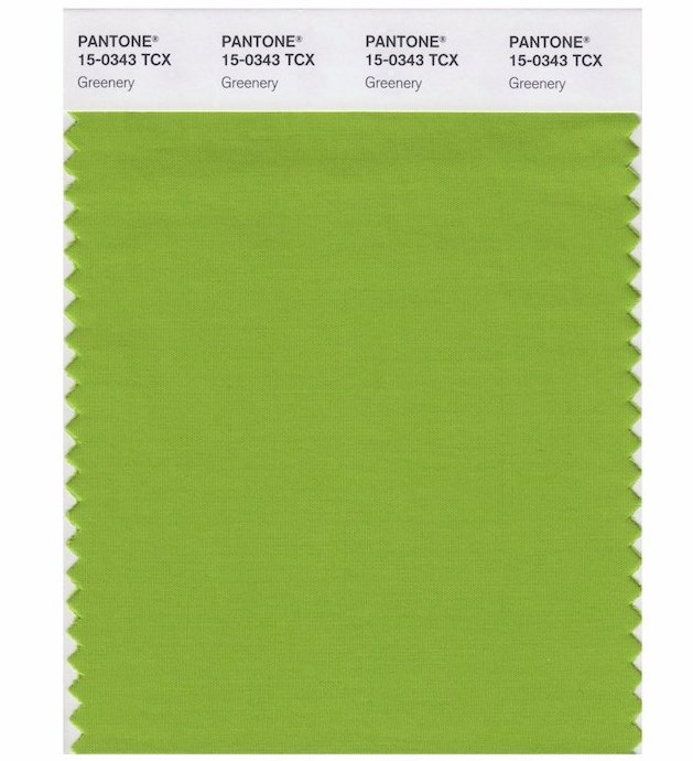 Pantone Greenery Color of the Year 2017