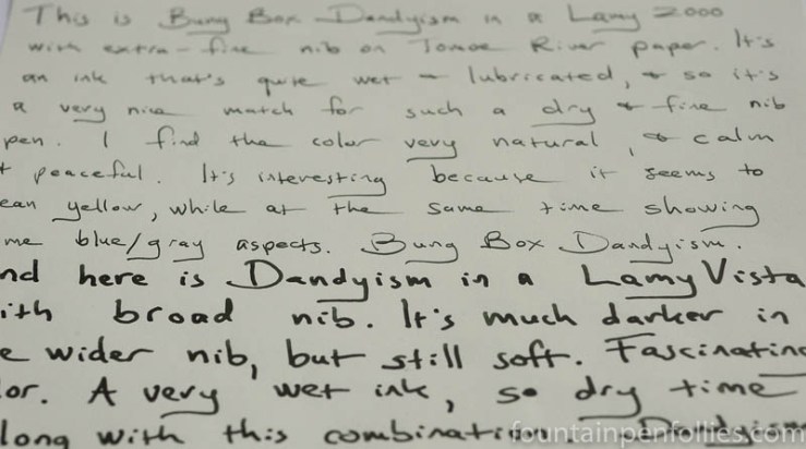 Bung Box Dandyism writing sample