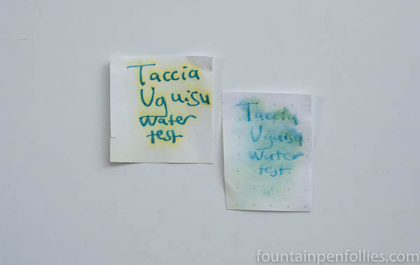 Taccia Uguisu water test